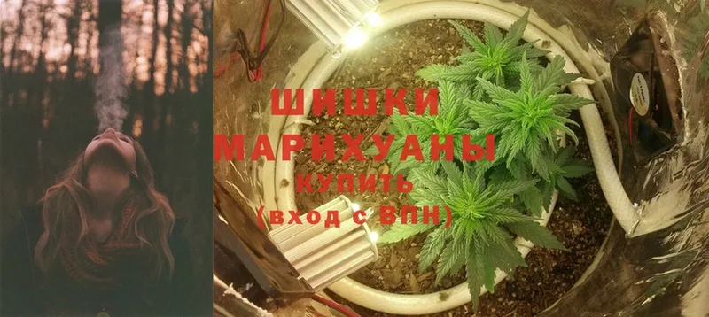 продажа наркотиков  Апрелевка  Бошки марихуана Amnesia 